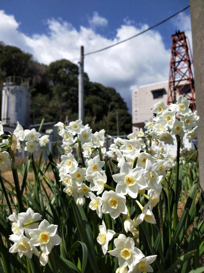 Izu Shirada Villa 伊豆白田家 Higashiizu Buitenkant foto